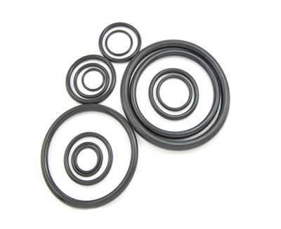 O-ring (1)